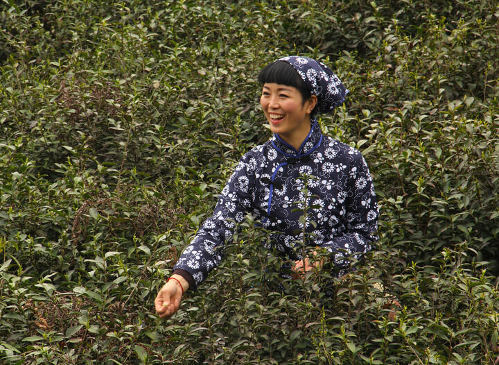蛇蝎美人分析